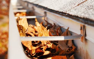 Maxwelltown gutter cleaning companies