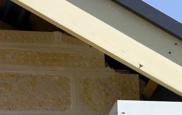 soffit repair Maxwelltown