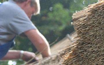 professional Maxwelltown thatchers