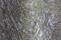 Maxwelltown fibreglass roof work